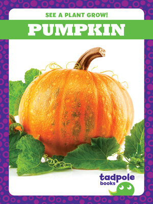 Pumpkin - ebook